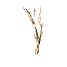 GHOSTWOOD BRANCHY Sanded 36"- OUT OF STOCK - CA ONLY
